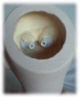 Eye Fixing